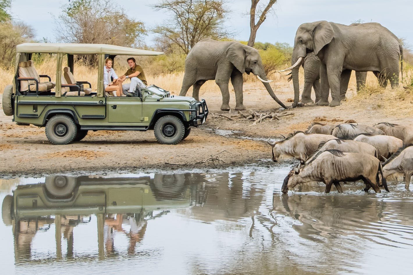 Manyara National Park